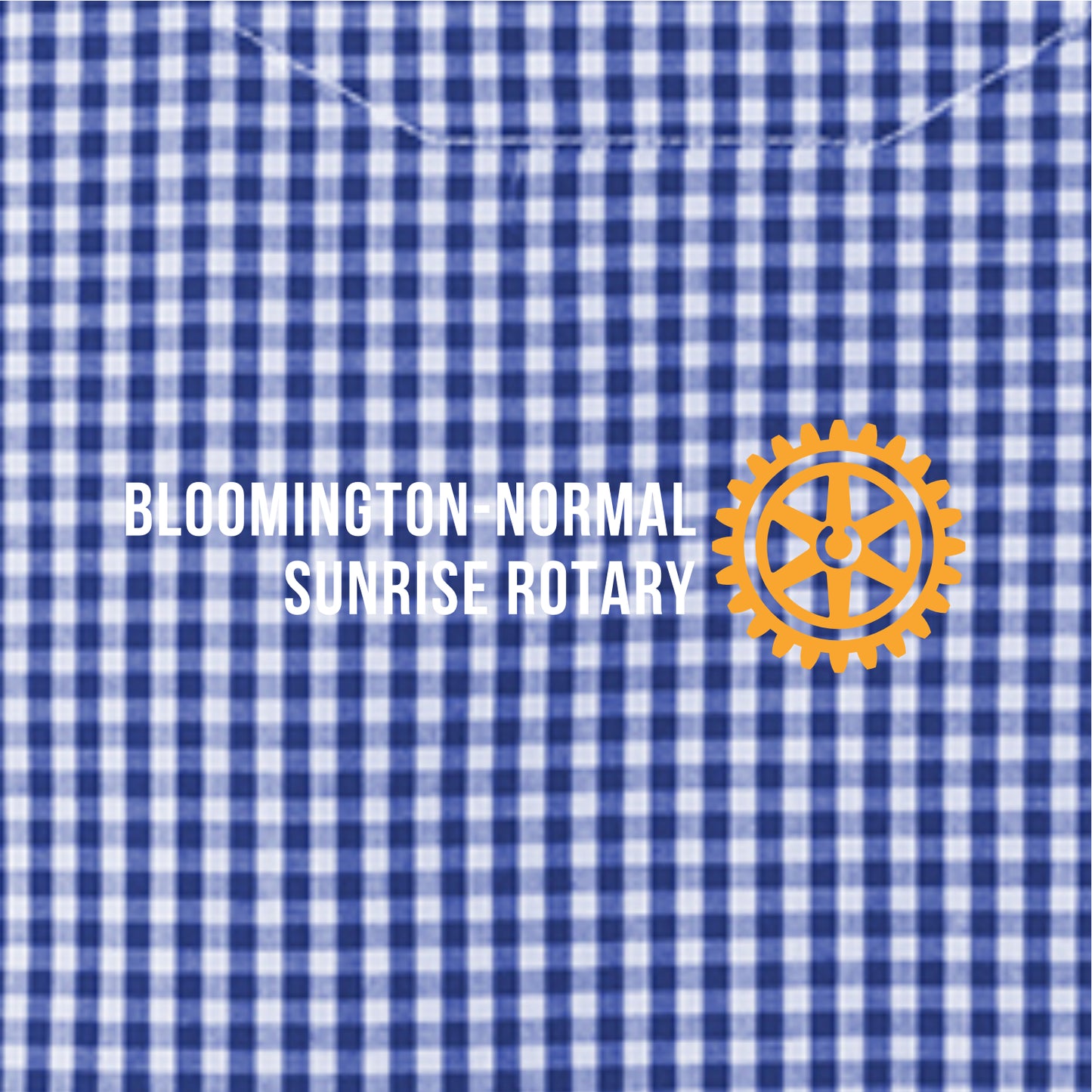 BNSR Broadcloth Gingham Long Sleeve Button Down Shirt