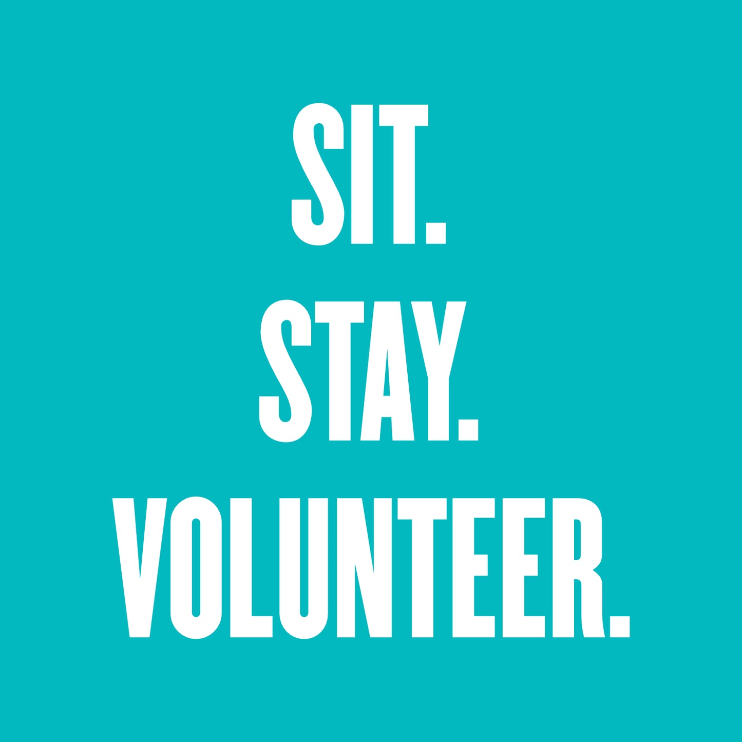 HSCI VOLUNTEER Fan Favorite Tee