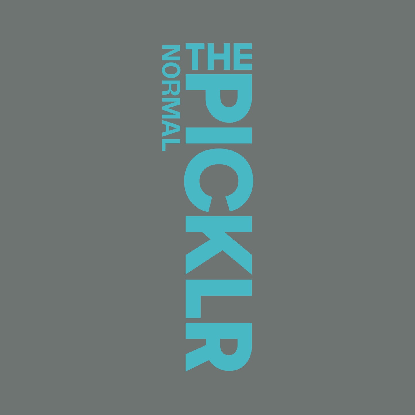 The Picklr Pigment Dye T-shirt