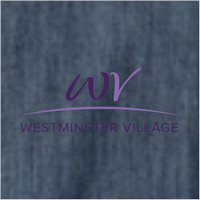 Westminster Village Ladies Long Sleeve Denim Shirt