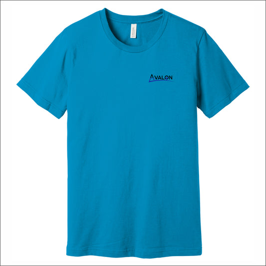 Avalon Soft Jersey Short Sleeve T-shirt