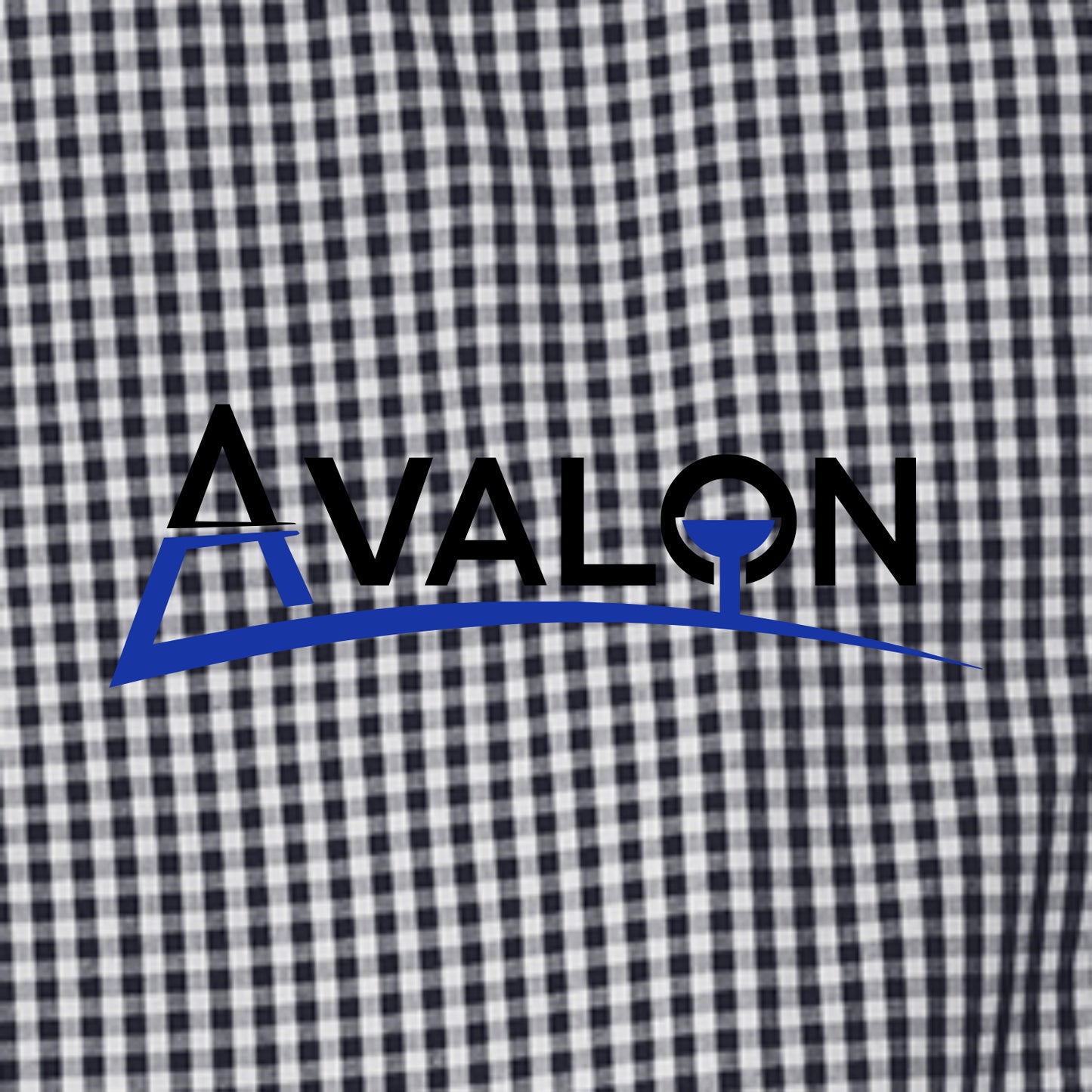 Avalon Broadcloth Gingham Long Sleeve Button Down Shirt