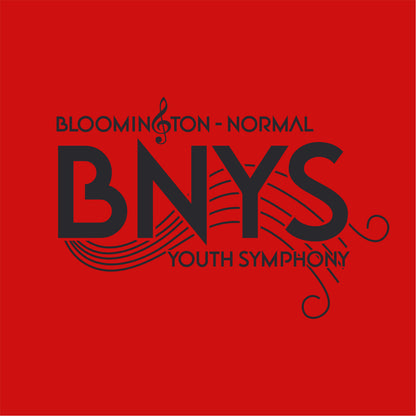 BNYS Bio-Washed Classic Dad Hat