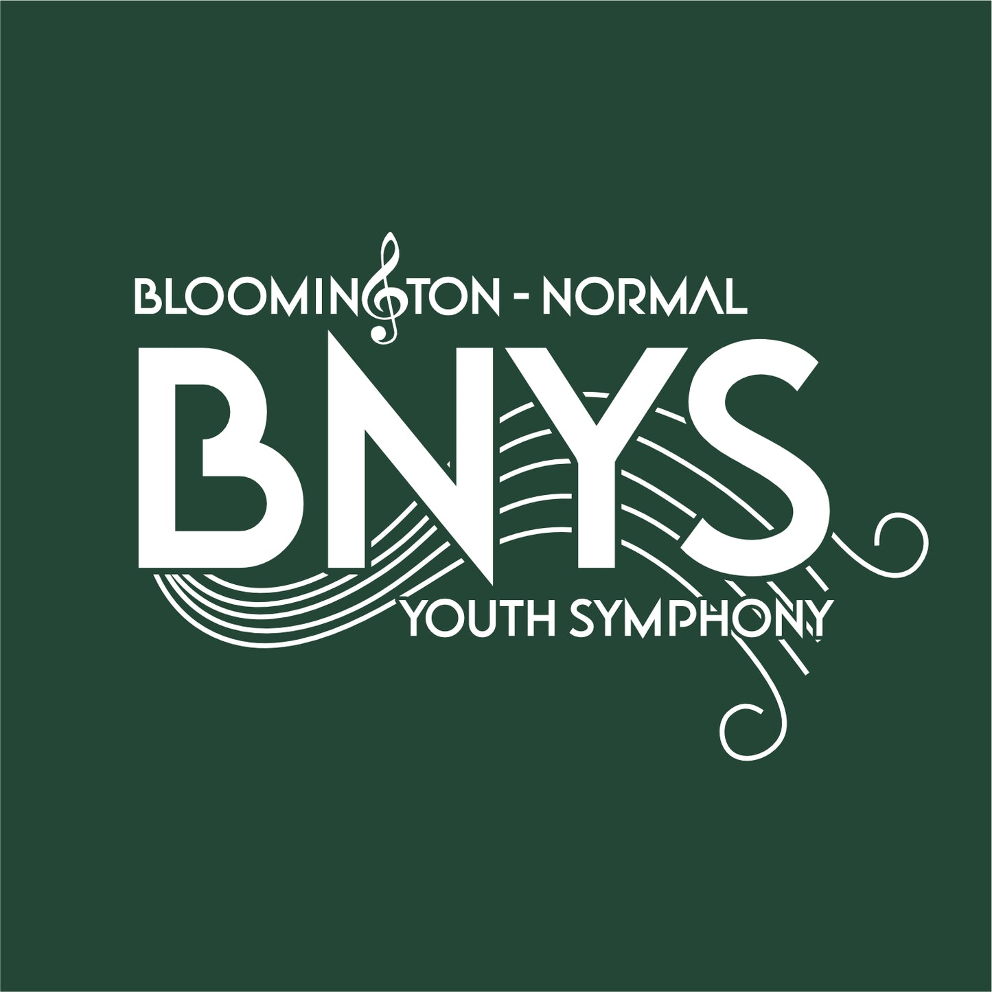 BNYS Bio-Washed Classic Dad Hat