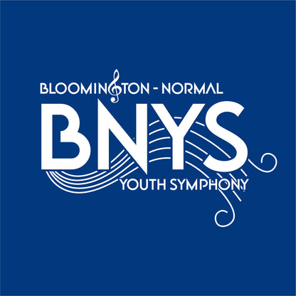 BNYS Bio-Washed Classic Dad Hat