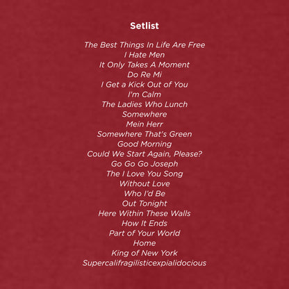 Community Players Theatre Fan Favorite 80/20 Hooded Sweatshirt