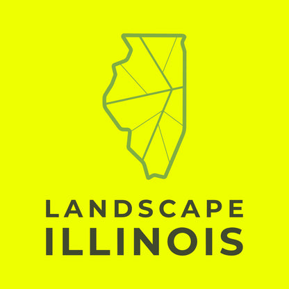 Landscape Illinois Beanie Cap
