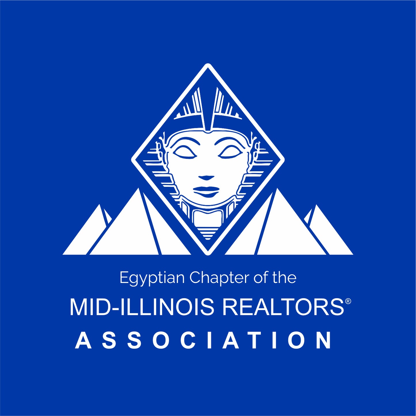 MIRA Performance Hooded Sweatshirt - Egyptian