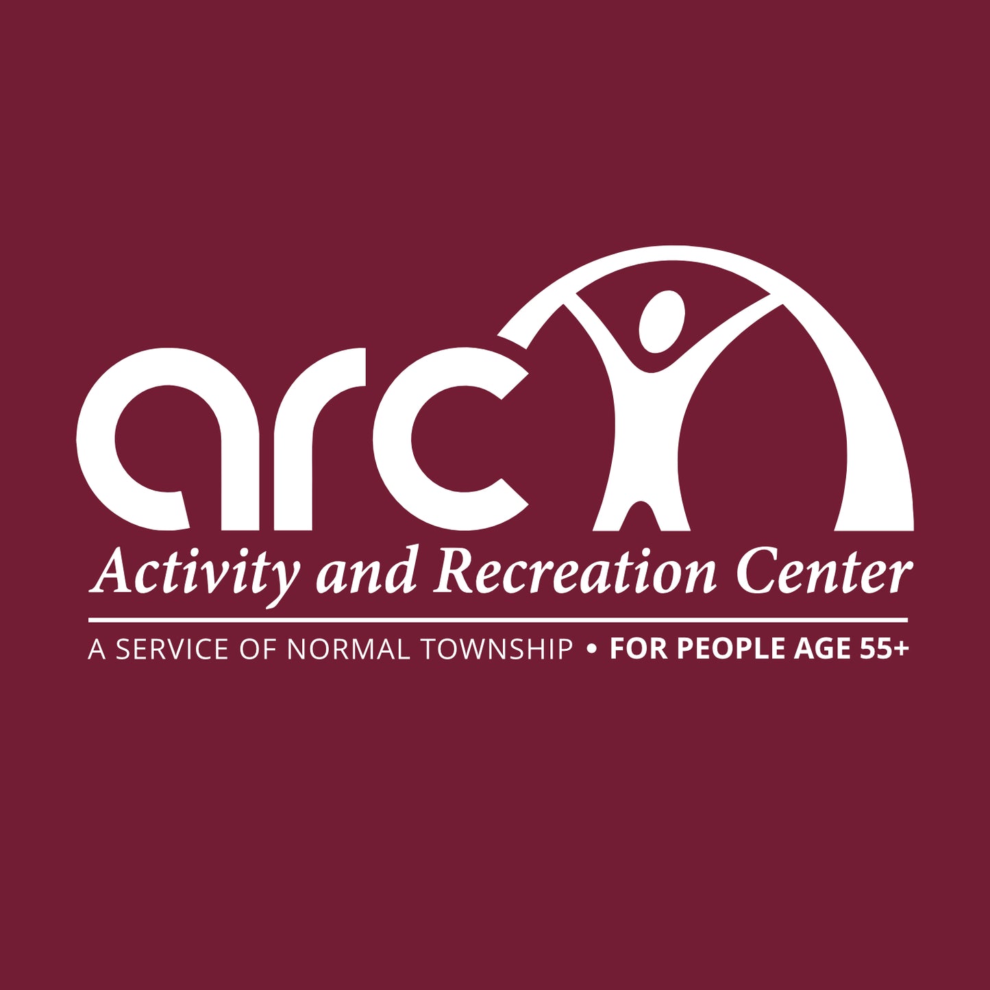 Normal ARC Hooded Sweatshirt