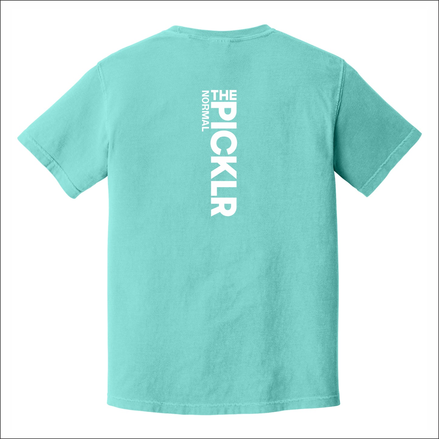 The Picklr Pigment Dye T-shirt