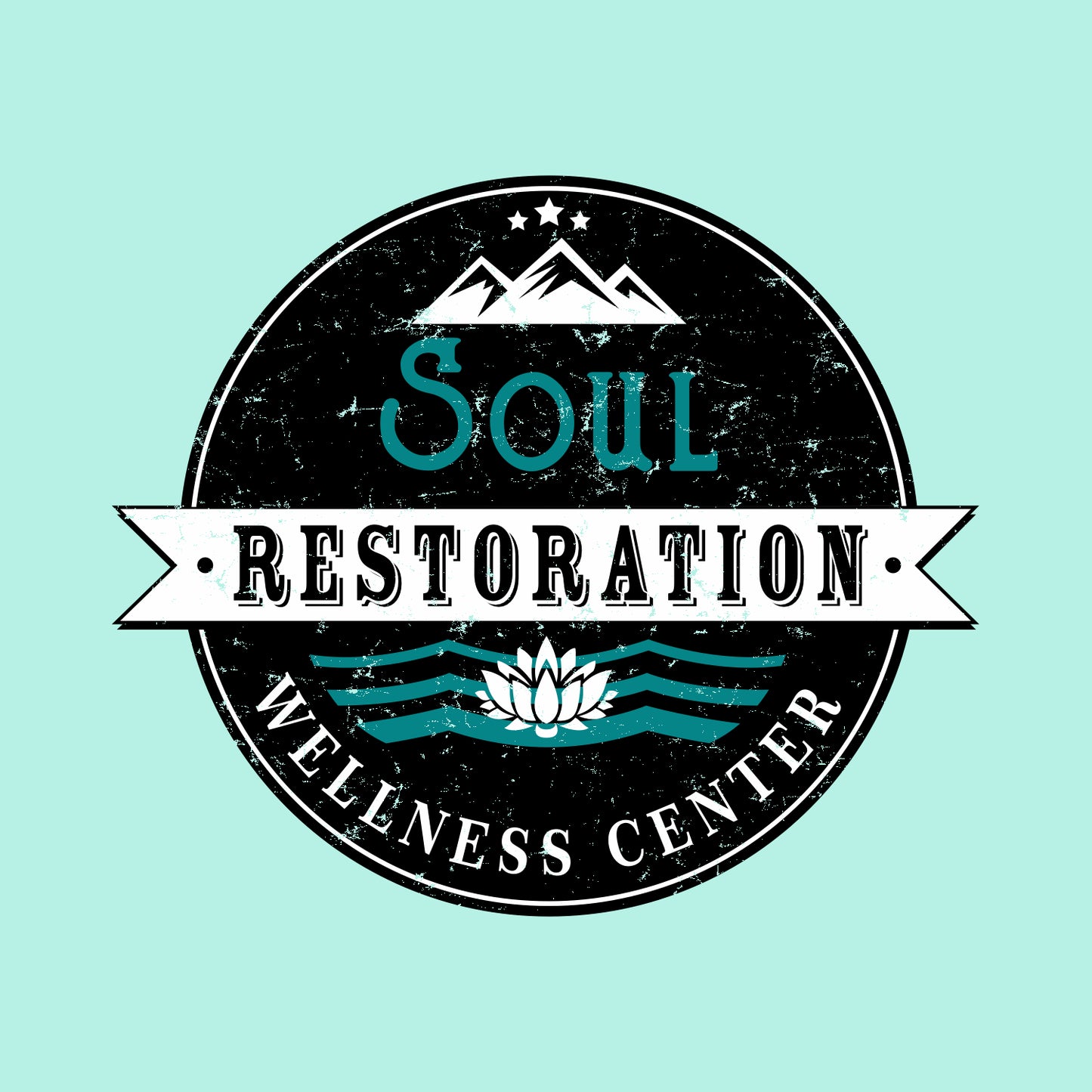 Soul Restoration Ladies Performance 1/4 Zip