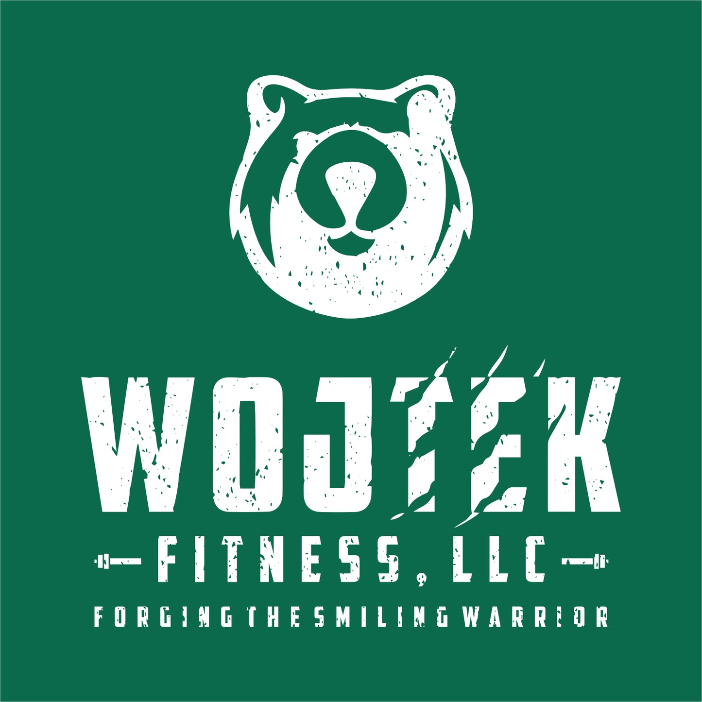 Wojtek Fitness Tri-blend T-shirt
