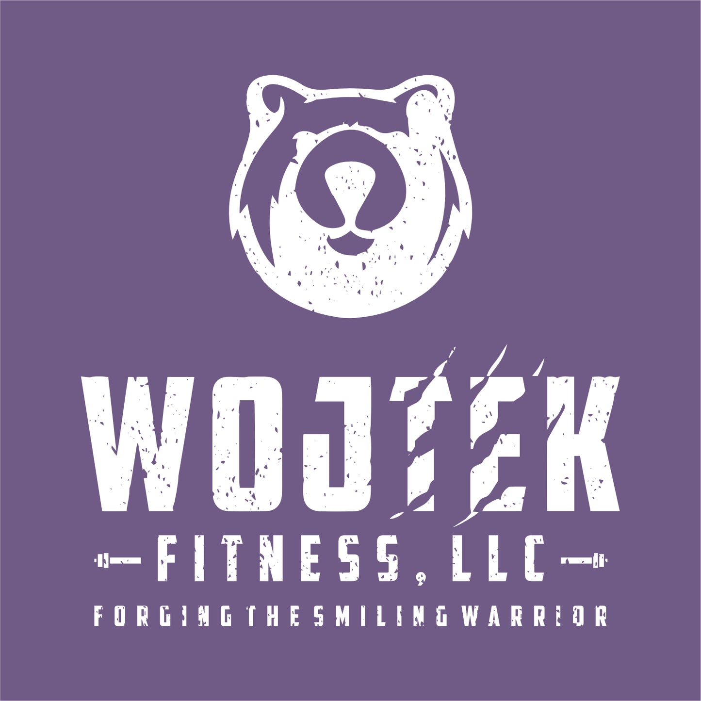 Wojtek Fitness Tri-blend T-shirt