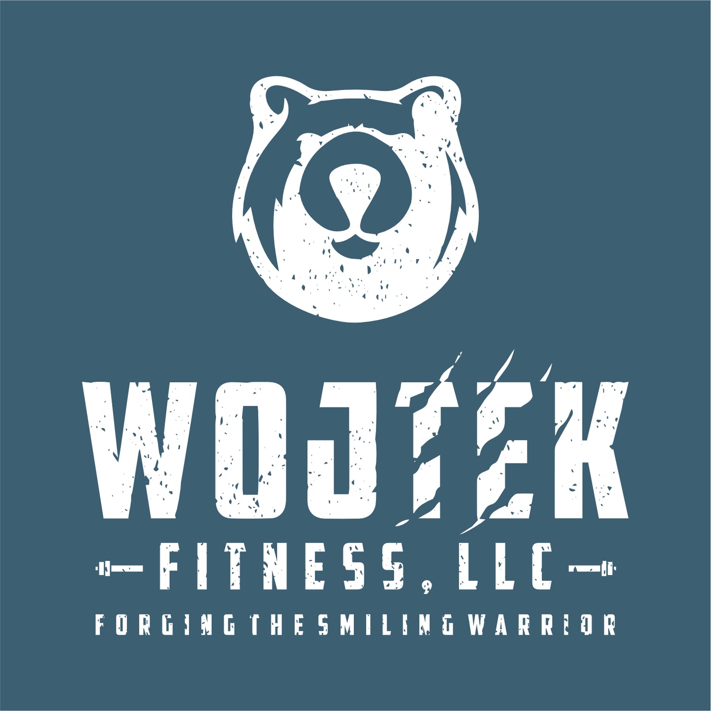 Wojtek Fitness Tri-blend T-shirt